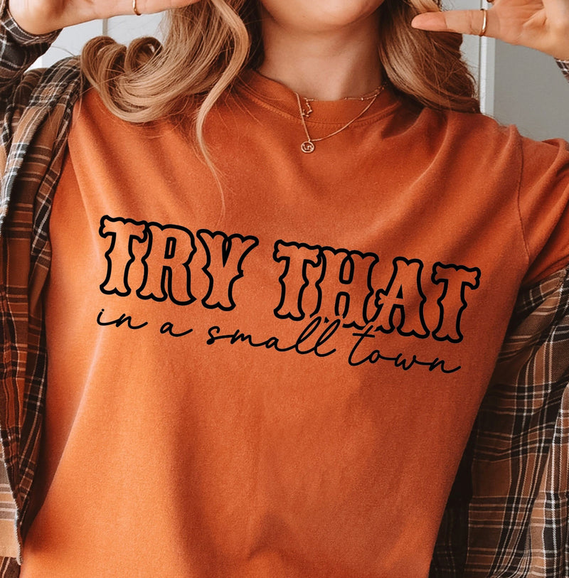 Try That In A Small Town (LONG SLEEVE TEE)